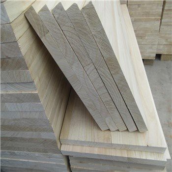 Consiglio congiunto di Paulownia