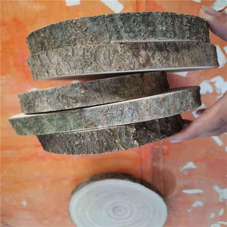 Wood Slice
