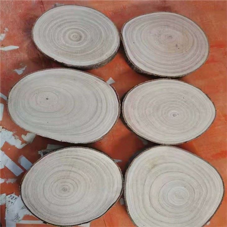 Wood Slice